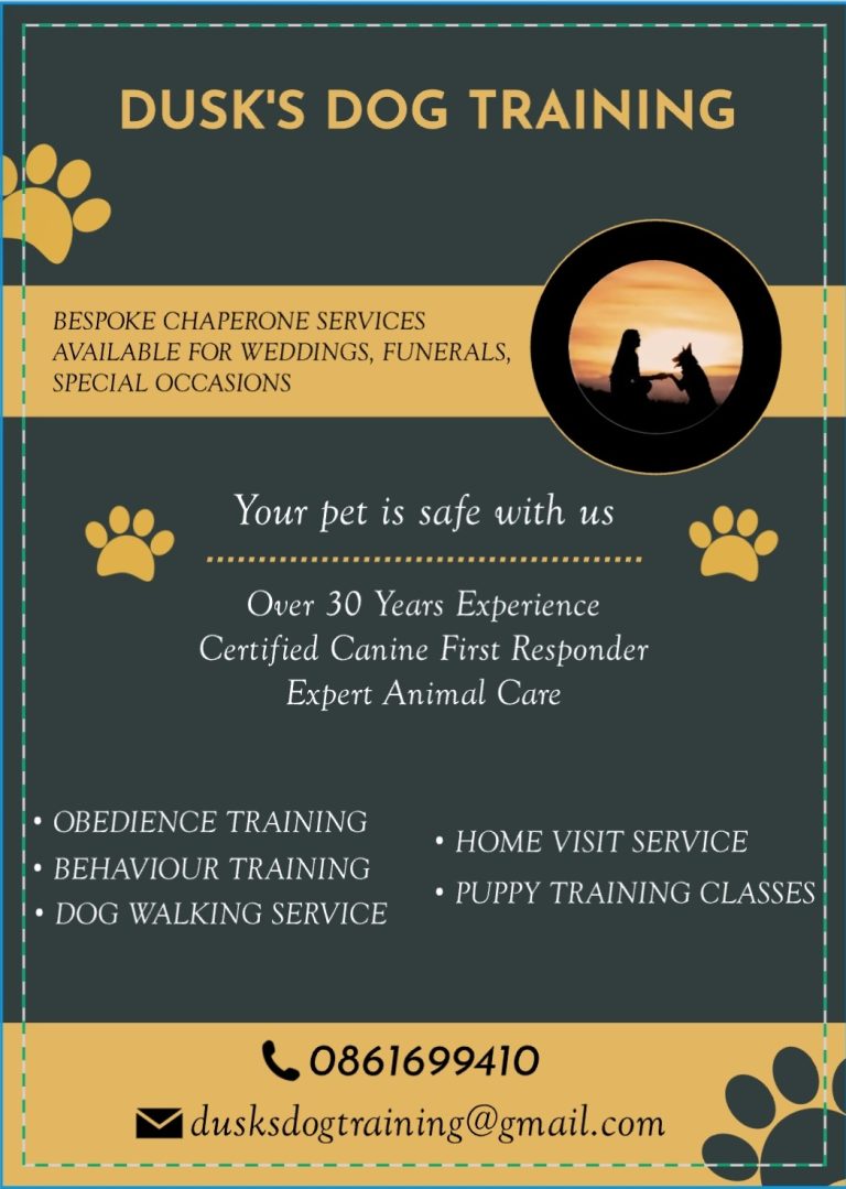 Dusk Dog Training